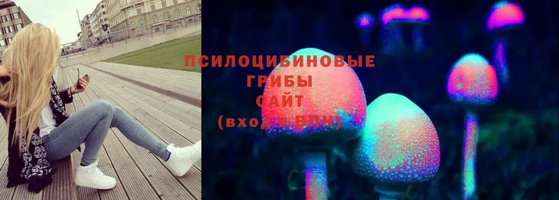 Псилоцибиновые грибы Magic Shrooms  Гдов 